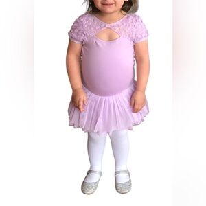 Danz N Motion Purple Dance Dress Toddler Sz 2-4